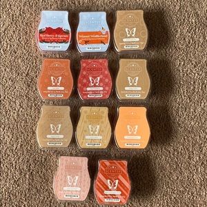 Apple and Cinnamon Sticks Scentsy (for @happy59)